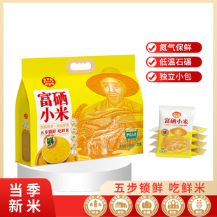 河南特产伊川富硒小米月子米当季新米五谷杂粮年货团购100g*20袋