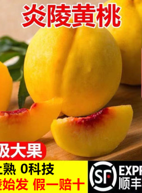 【假一赔十】正宗炎陵黄桃溯源地