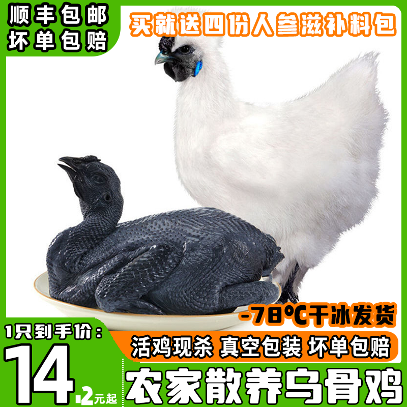 农家散养正宗白羽乌骨鸡顺丰包邮