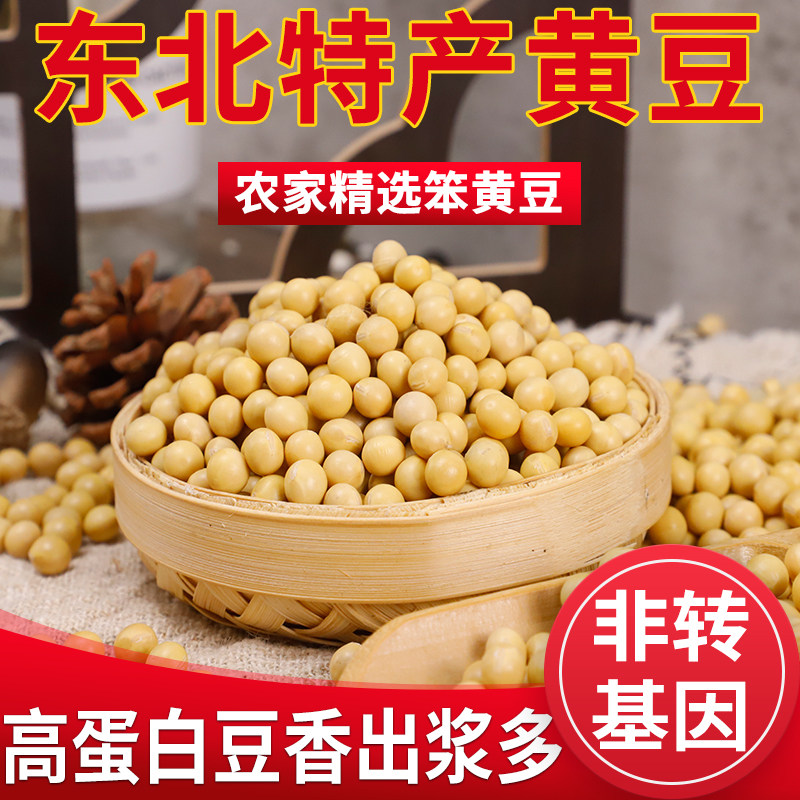 东北黄豆大粒打豆浆五谷杂粮非转基因新豆高蛋白营养丰富精选优质 - 实物图