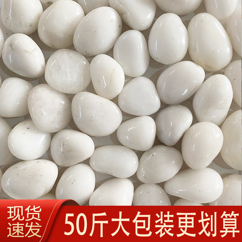 50斤白色抛光鹅卵石庭院铺地花其它园艺用品