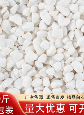 50斤白石子白色鹅卵石铺地庭院造景白色石头花园装饰小石子白砾石