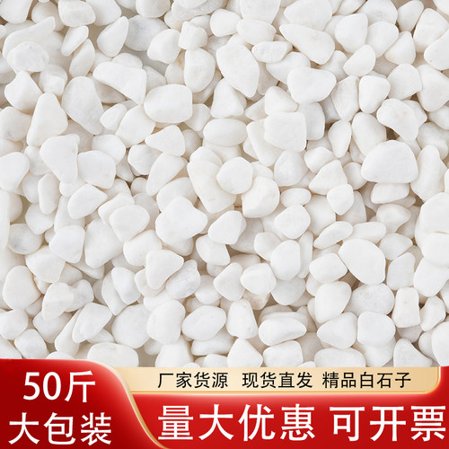 50斤白石子白色鹅卵石铺地庭院造景白色石头花园装饰小石子白砾石