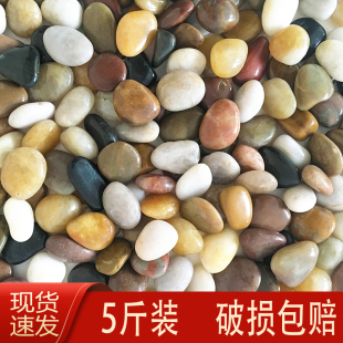 天然鹅卵石雨花石原石鱼缸花盆装 饰造景养花五彩色小石头水培石子