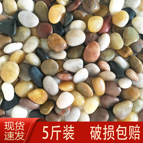 天然鹅卵石雨花石原石鱼缸花盆装饰造景养花五彩色小石头水培石子