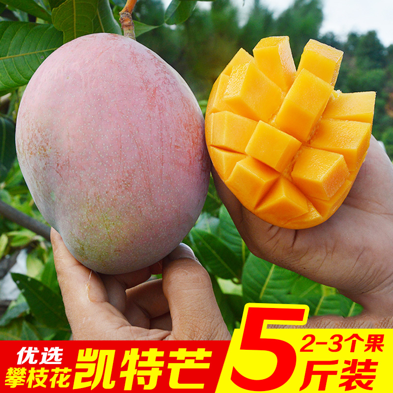 攀枝花凱特芒果當季新鮮水果整箱5斤批發包郵非大青芒果桂七芒