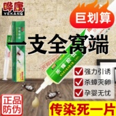 华晔康杀蟑胶饵剂哗康蟑螂药非无毒家用室内一窝粉屋端除灭蟑神器