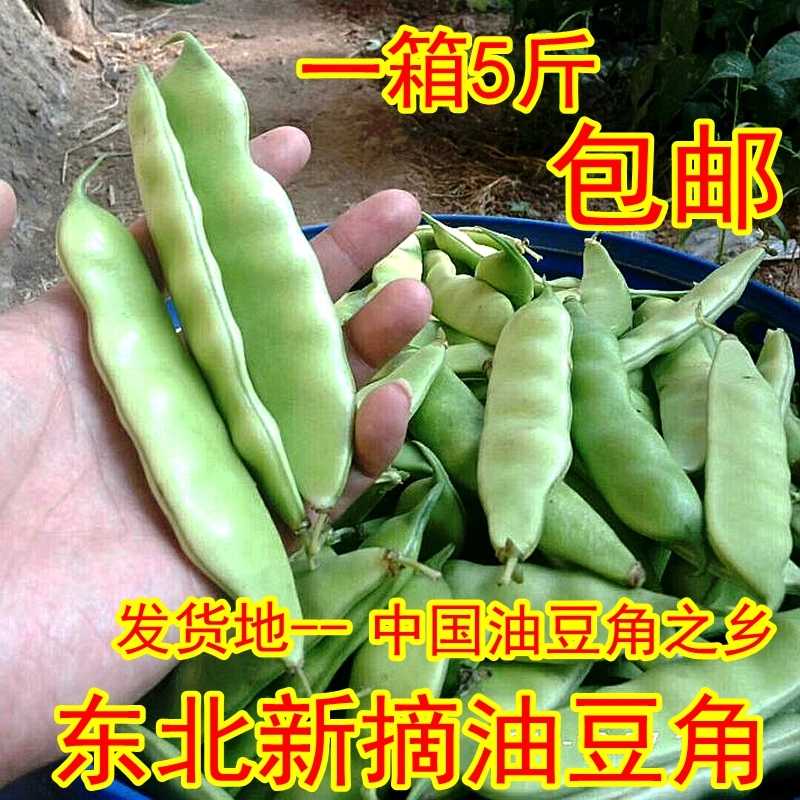 5斤油豆角现摘新鲜油豆角之乡