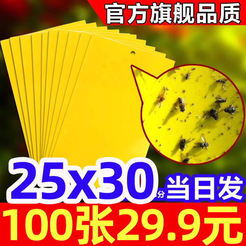 双面粘虫板黄色果蝇针蜂蓟马大棚