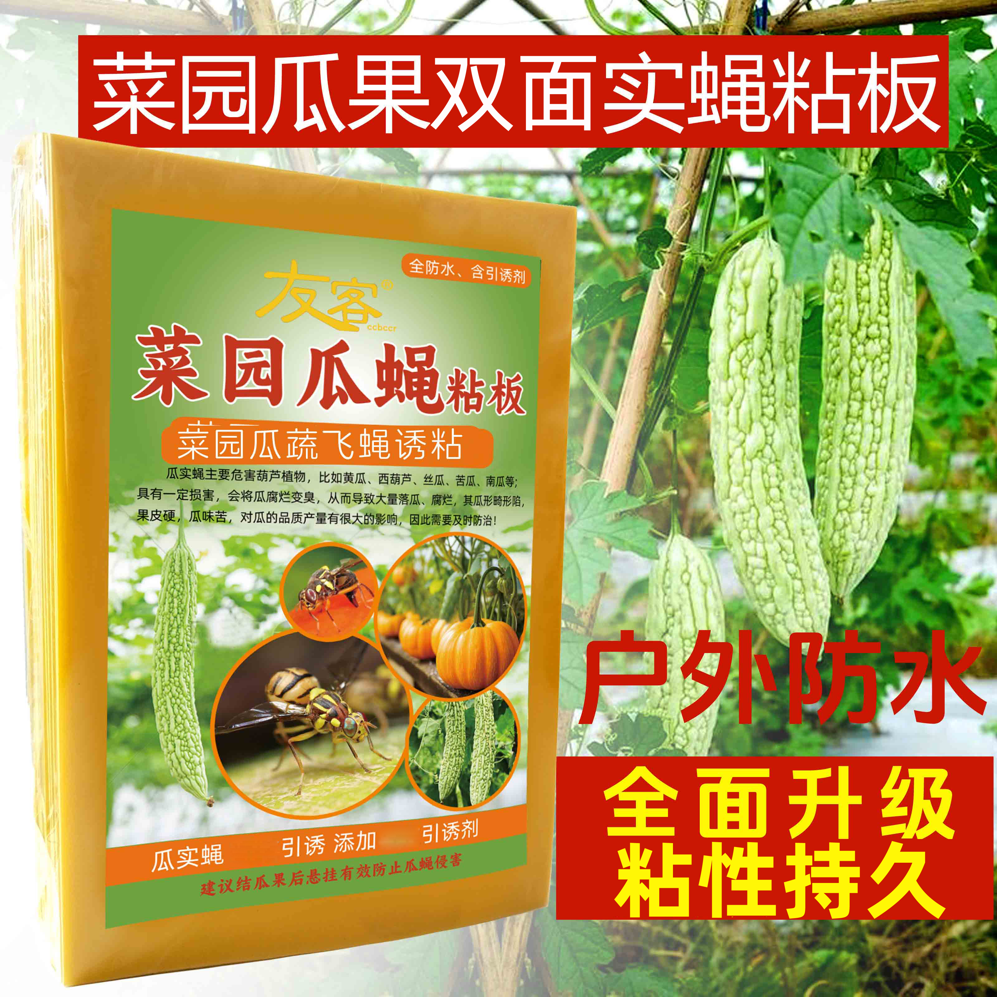 苦瓜实蝇粘板粘蚊蝇板粘虫板黄色针锋菜园南瓜黄瓜粘虫板飞虫粘虫