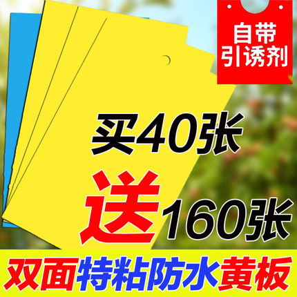 粘虫黄板双面粘虫板蓟马纸贴黄蓝飞虫小黑飞果园沾果蝇诱捕器粘板