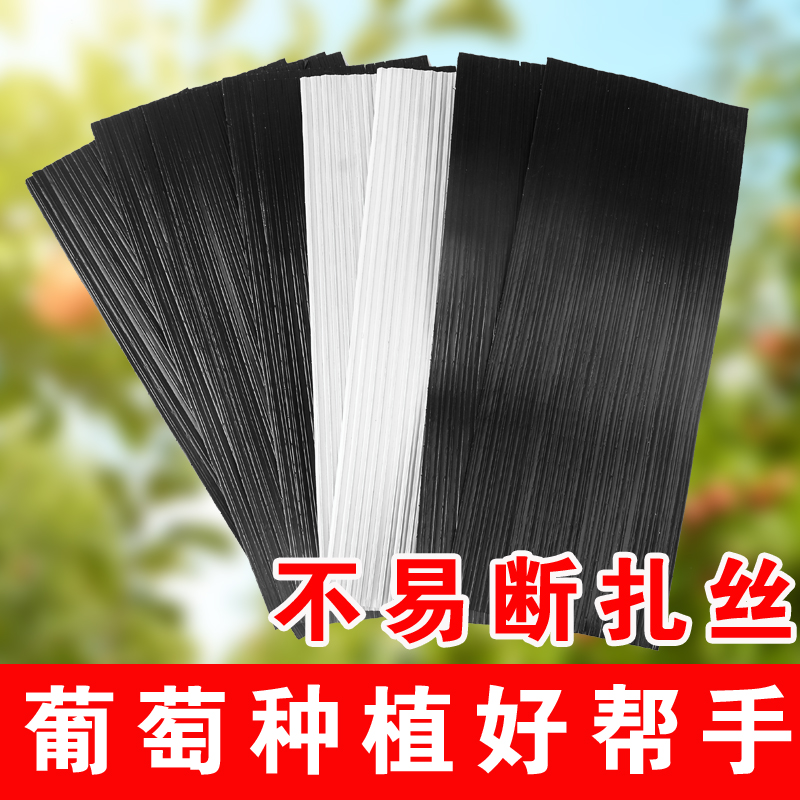 镀锌铁丝扎线 绑丝铁丝扎丝线扎带