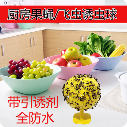 厨房粘果蝇飞虫灭蝇粘板粘虫板捕蝇球粘蝇板垃圾桶飞虫粘蚊蝇实蝇