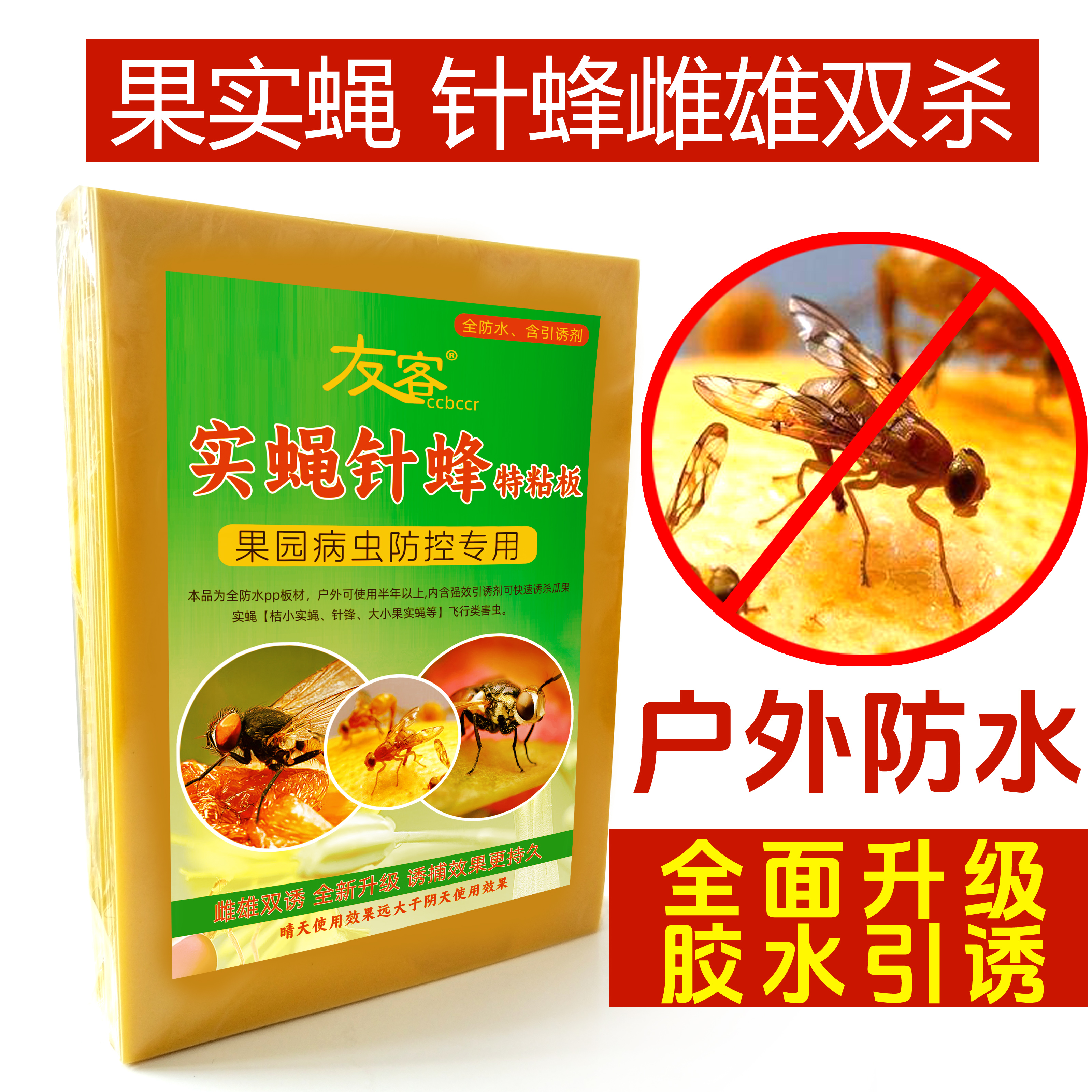瓜果实蝇粘胶板防果蝇针蜂贴灭金锋黄板沾纸诱捕器粘小飞虫粘虫板