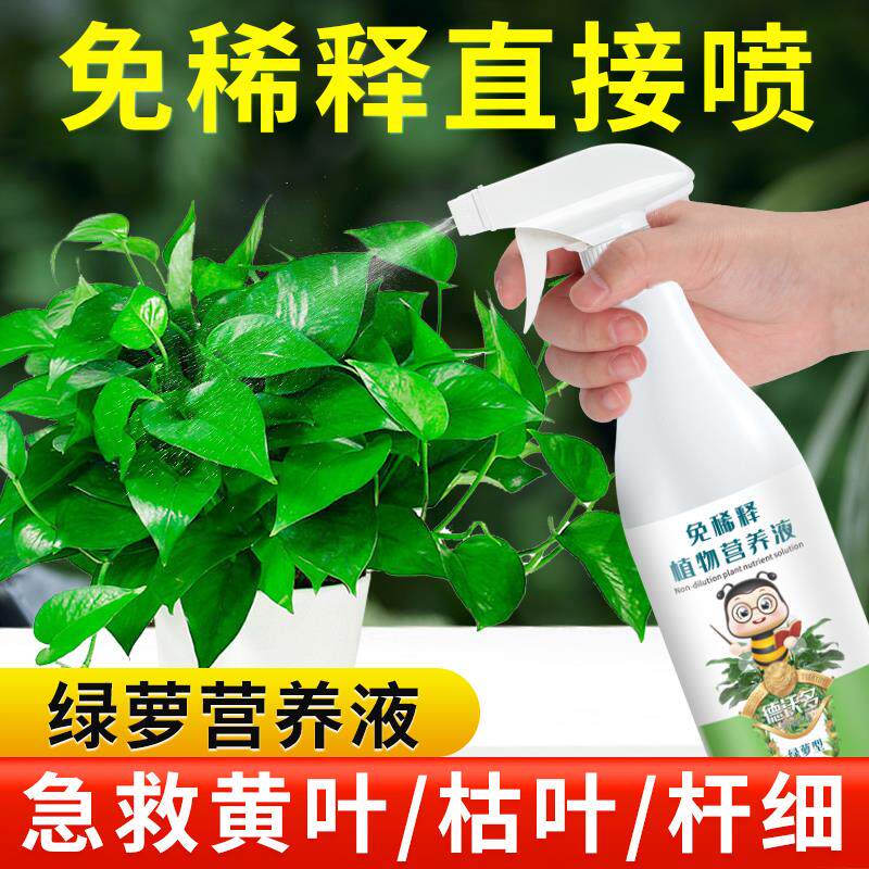 绿萝肥料专用肥免稀释营养液植物盆栽家用吊兰绿罗土水培养花通新