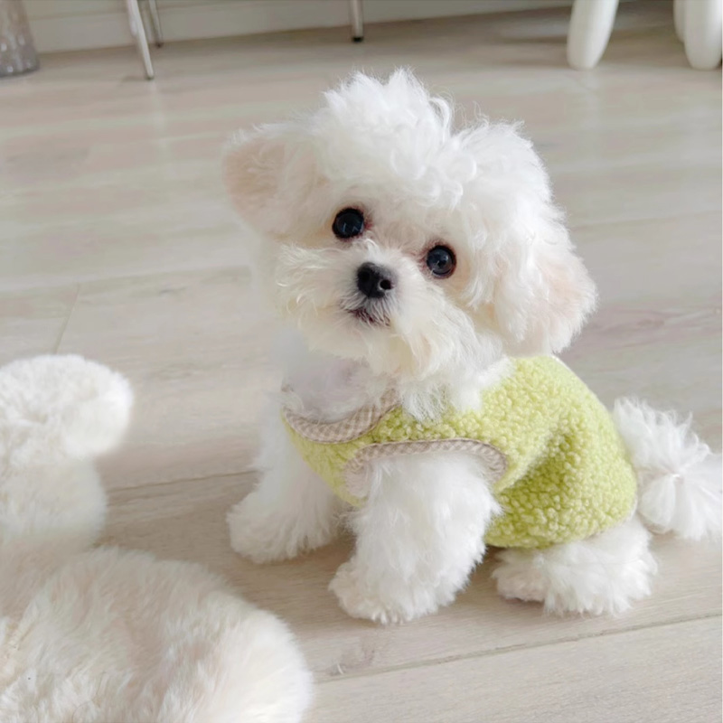 比熊衣服秋冬款小狗外出可牵引