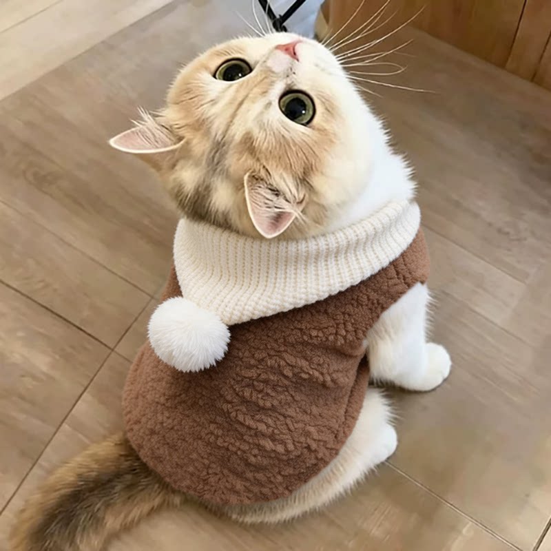 猫咪衣服布偶猫防掉毛暹罗猫幼猫金渐层高颜值可爱毛线帽冬装冬季图片