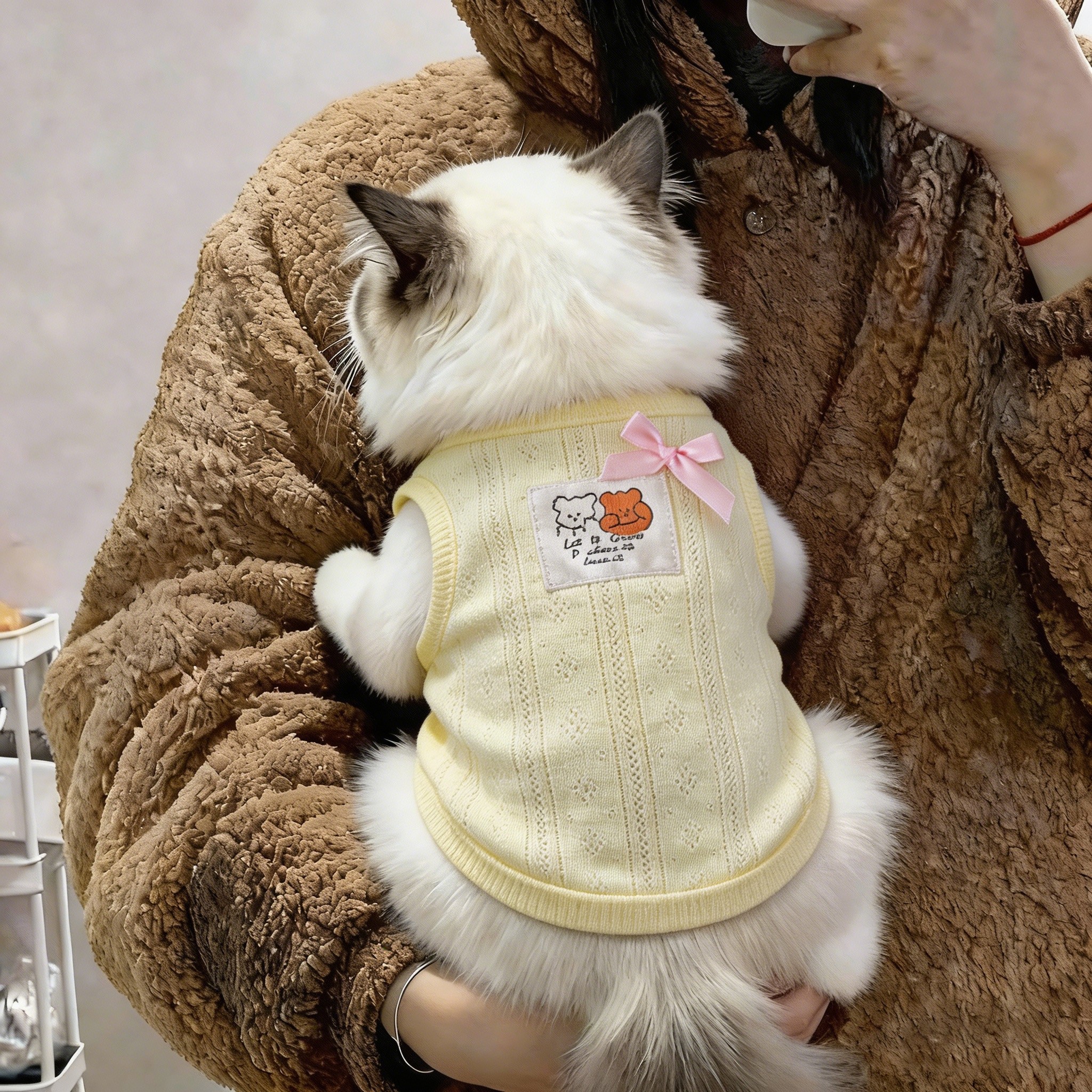 小猫衣服薄款幼猫夏天防掉毛猫咪布偶猫纯色两脚衣高颜值居家透气图片