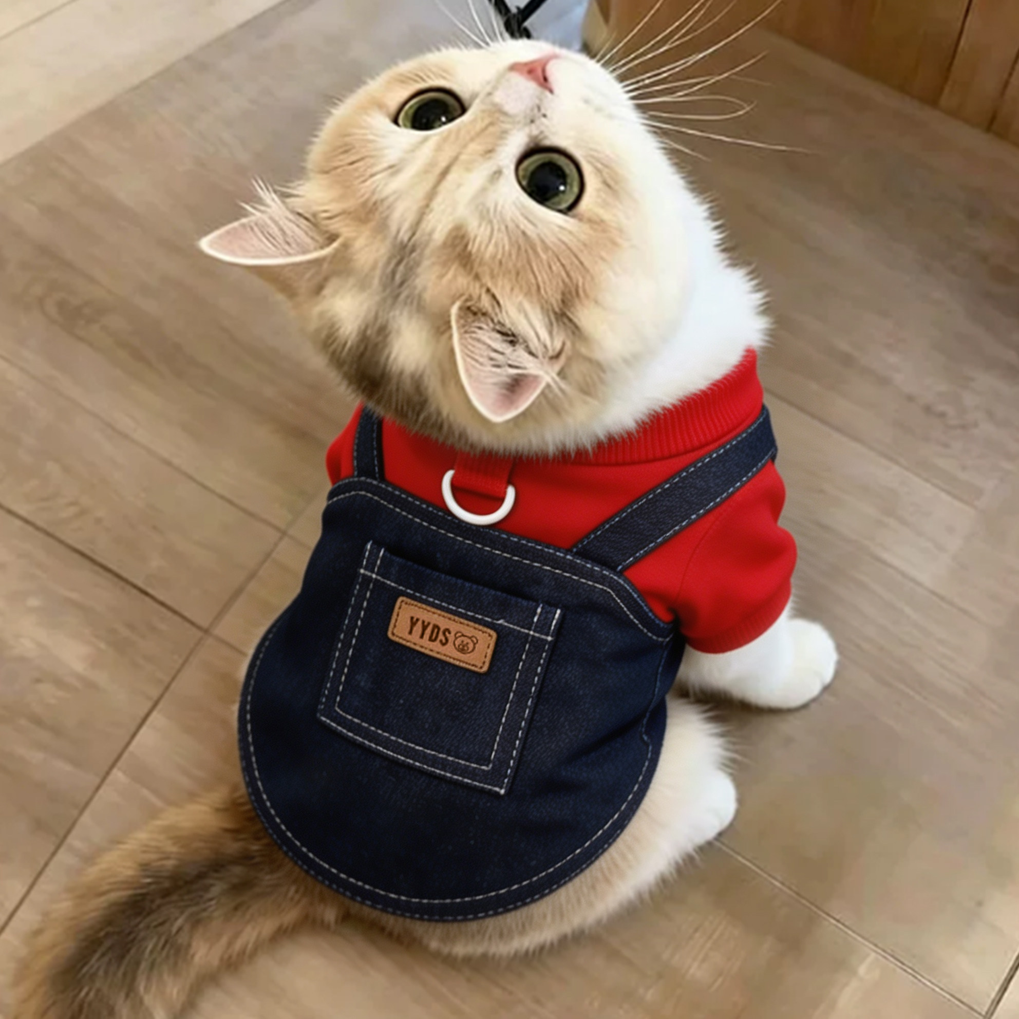 猫咪衣服英短小猫高颜值布偶猫防掉毛起司猫可爱牛仔防脏带牵引环图片