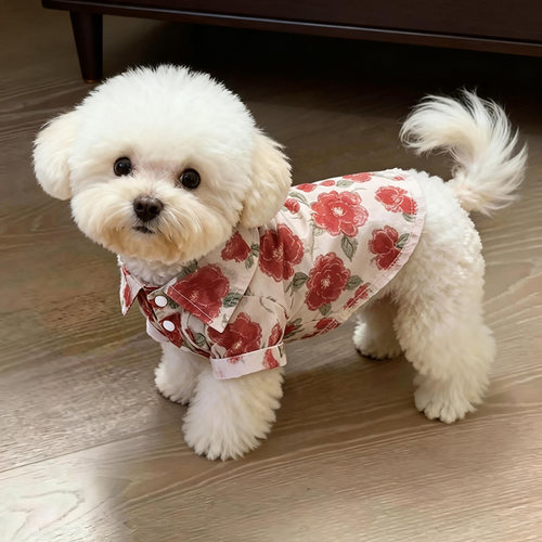 狗狗衣服小型犬秋天新款幼犬春秋小狗外出防脏花朵图案防掉毛衬衫