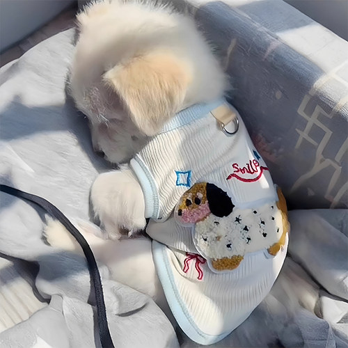 狗狗衣服秋季防掉毛小狗秋天穿的背心比熊外出防脏可牵引幼犬秋装