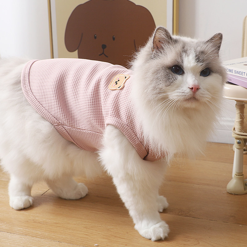 猫咪衣服小猫春装夏季薄款高颜值小熊背心布偶猫防掉毛透气圆领衫