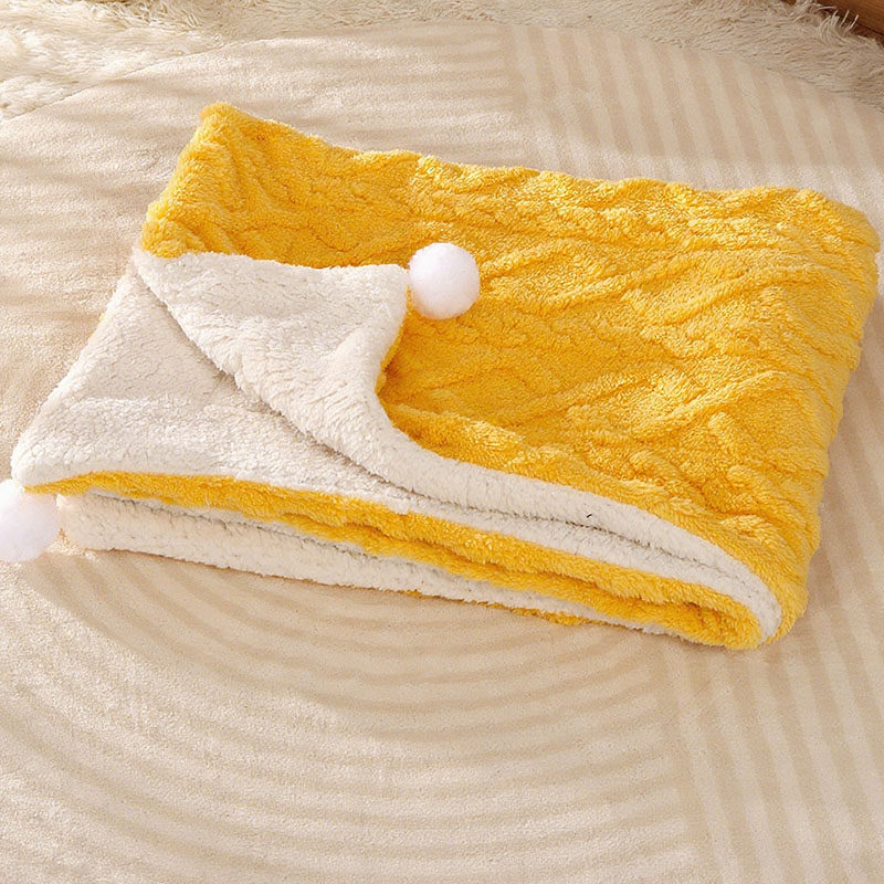 狗毛毯狗被子四季通用小狗泰迪冬天睡觉保暖冬季毛球加厚盖毯毯子