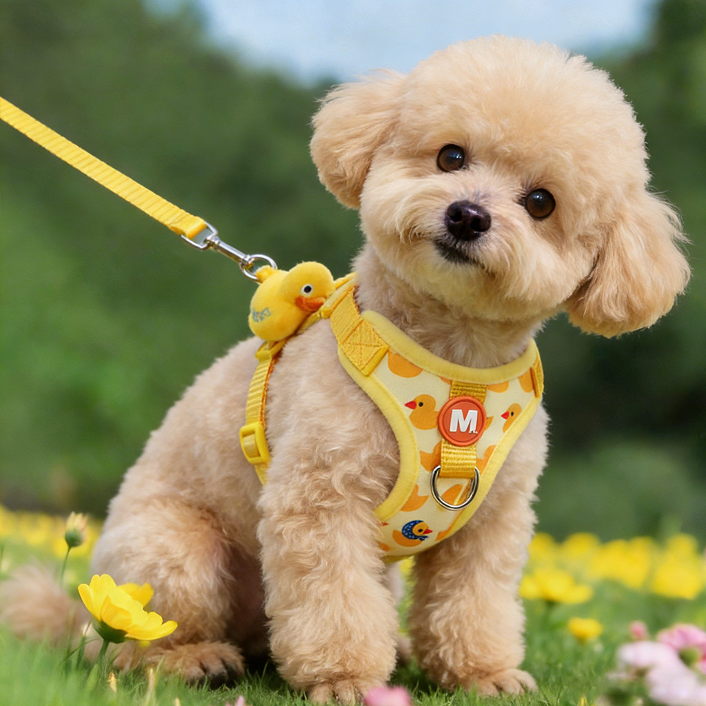 狗狗牵引绳泰迪小型犬背心式可调节高颜值小黄鸭胸背带外出溜狗绳,宠物/宠物食品及用品,狗牵引绳,淘宝优惠券,粉丝福利购,淘宝优惠卷