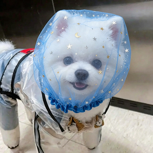 狗嘴套防咬防叫狗狗专用嘴罩透明透气星星防舔宠物外出遛狗嘴巴套