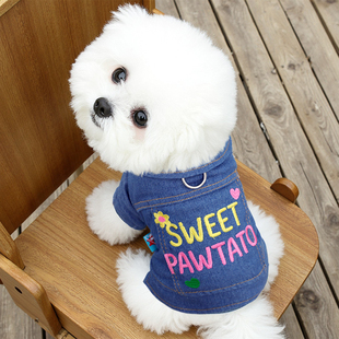 卫衣 衣服幼犬小型犬比熊博美外出可牵引秋天保暖时尚 狗狗秋季 新款