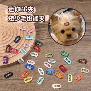 约克夏发夹迷你鼻梁夹宠物狗狗专用头饰碎毛夹小狗狗bb夹