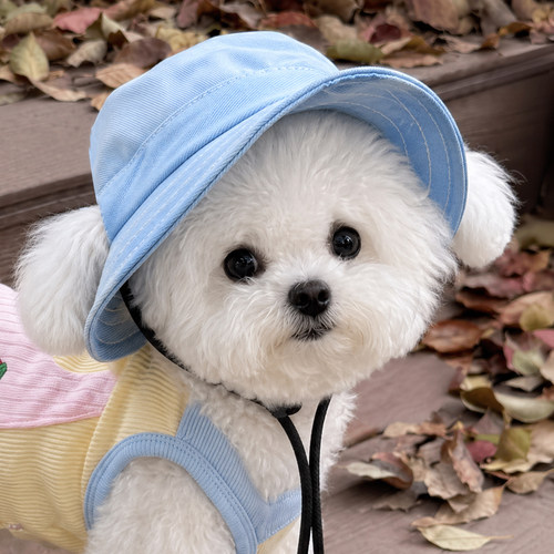 小狗帽子露耳朵防晒小型犬遮阳比熊高颜值可调节渔夫帽户外拍照用