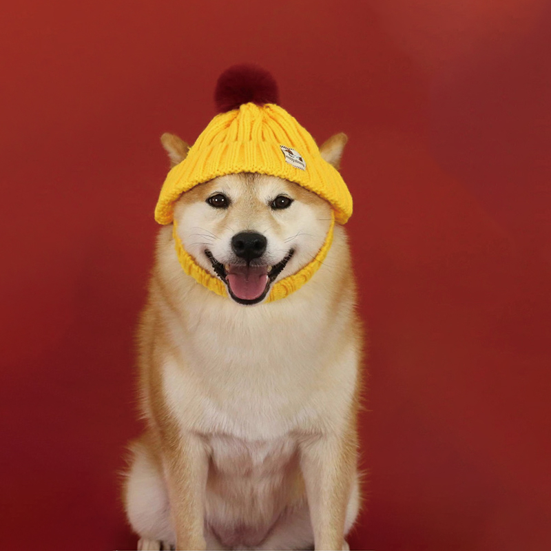 狗狗帽子冬露耳朵小型犬冬天外出户外保暖可爱高颜值柴犬宠物用品