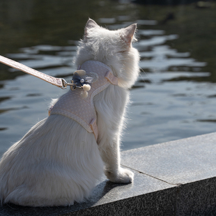 牵猫绳防挣脱可调节猫咪牵引绳白猫猫咪外出高颜值蝴蝶结桃心胸背
