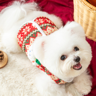 狗狗衣服泰迪圣诞服装新年喜庆