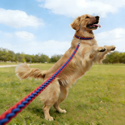 狗狗p绳小型犬防爆冲一体式p链牵引绳遛狗绳子防挣脱金毛户外外出