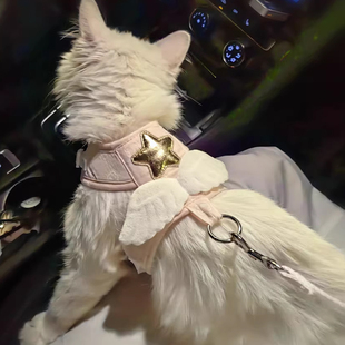 布偶猫外出遛猫防乱窜高颜值猫绳子猫链 猫绳牵引绳防挣脱可调节款