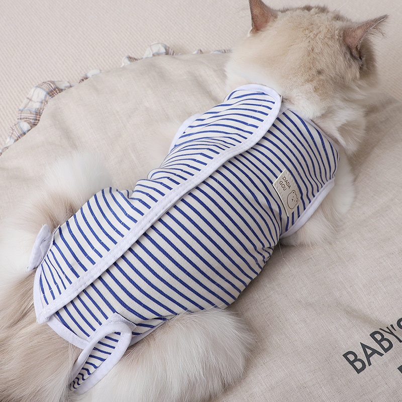 猫咪衣服防舔不抗拒穿脱方便图片