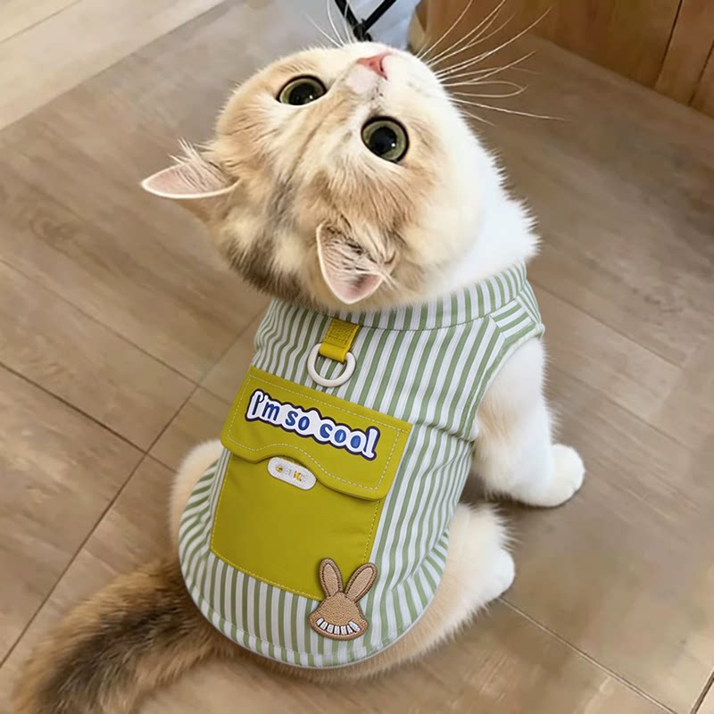 猫咪衣服金渐层防掉毛缅因猫小奶猫高颜值时尚潮流帅气加绒两脚衣图片