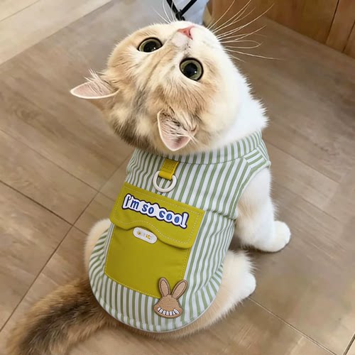 猫咪衣服金渐层防掉毛缅因猫小奶猫高颜值时尚潮流帅气加绒两脚衣