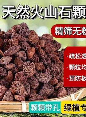 新天然红火山石颗粒多肉兰花专用营养土植料黑色火山石铺面拌土垫