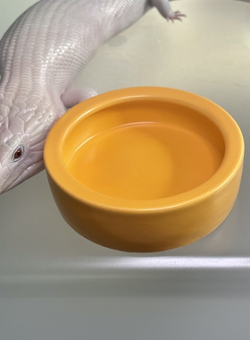 蓝舌食盆水盆防逃逸陶瓷爬宠黄色守宫鬃狮仓鼠面包虫蟋蟀