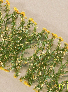 现货 Mininatur Goldenrod summer 997-22S 草簇 植株 微缩 成品