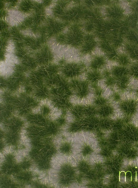现货 Mininatur Karst tufts summer 737-22S 737-22MS 草簇 植株