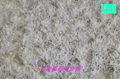 现货植物草簇场景模型