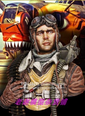 Young Miniatures YM1894 B-24 GUNNER USAAF WWII Bust