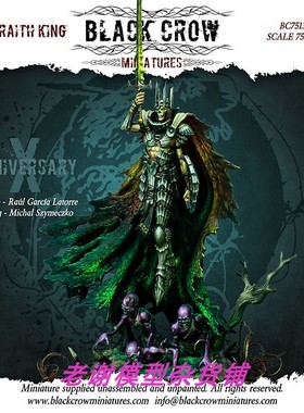 Black Crow Miniatures THE WRAITH KING 75mm