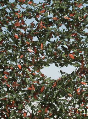 现货 Mininatur Oak leaves early fall 980-33S 1:45, 1:32 草簇