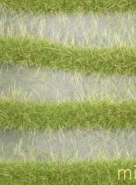 现货 Mininatur Karst strips spring  738-31S 1:45, 1:32 草簇