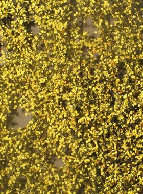 现货 Mininatur Poplar leaves late autumn  913-34S 1:45, 1:32